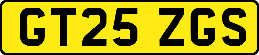 GT25ZGS