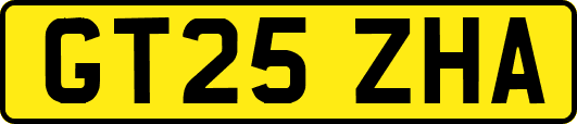 GT25ZHA