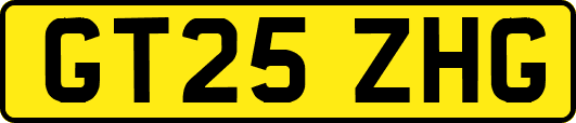 GT25ZHG