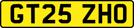 GT25ZHO