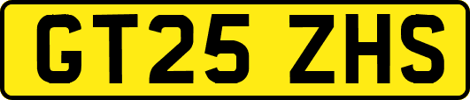 GT25ZHS