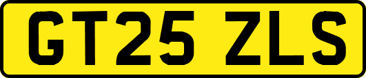 GT25ZLS