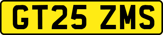 GT25ZMS