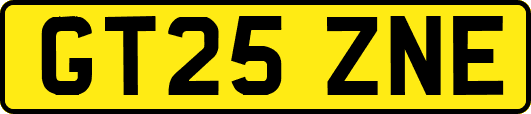 GT25ZNE