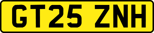 GT25ZNH