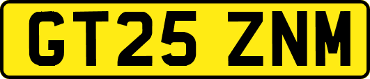 GT25ZNM