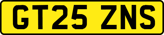 GT25ZNS