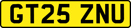 GT25ZNU
