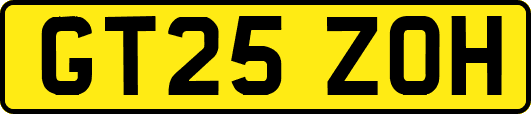 GT25ZOH