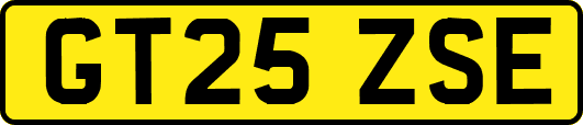 GT25ZSE