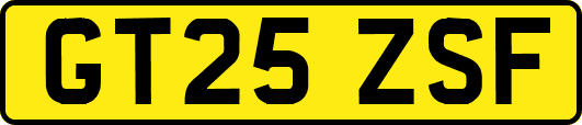 GT25ZSF