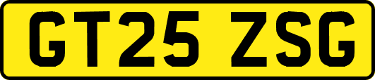 GT25ZSG