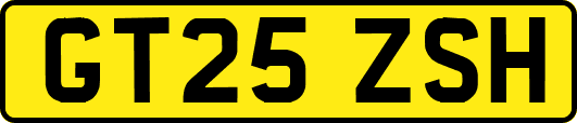 GT25ZSH