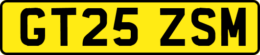 GT25ZSM