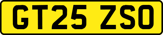 GT25ZSO