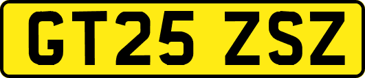 GT25ZSZ