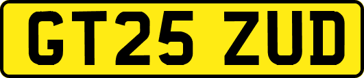 GT25ZUD