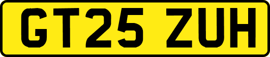 GT25ZUH