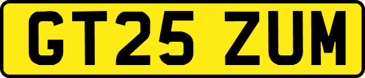 GT25ZUM