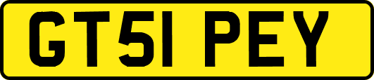 GT51PEY