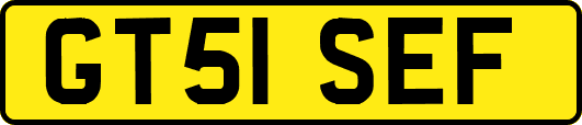 GT51SEF