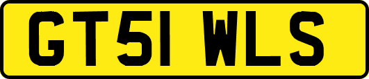 GT51WLS