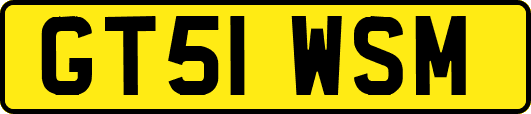 GT51WSM