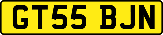 GT55BJN