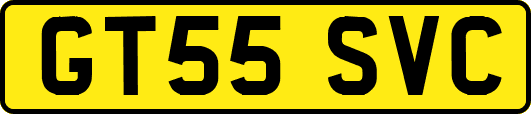 GT55SVC