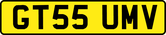 GT55UMV