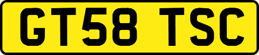 GT58TSC