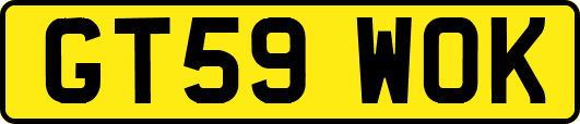 GT59WOK