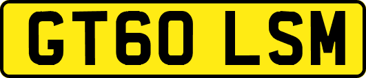 GT60LSM