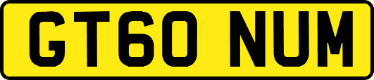 GT60NUM