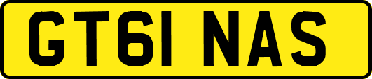 GT61NAS