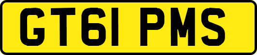 GT61PMS