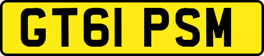 GT61PSM