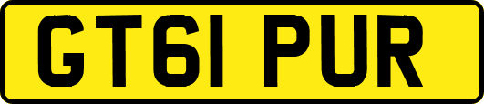 GT61PUR