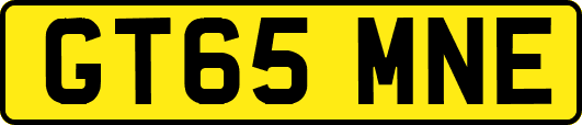 GT65MNE