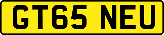 GT65NEU