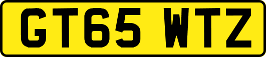 GT65WTZ