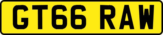 GT66RAW