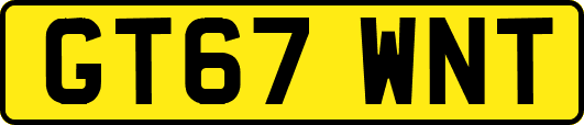 GT67WNT