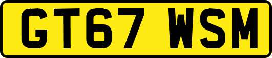 GT67WSM