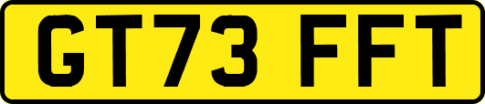 GT73FFT
