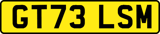 GT73LSM