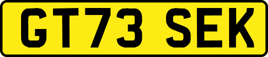 GT73SEK
