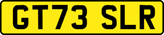 GT73SLR