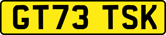 GT73TSK