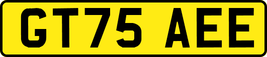 GT75AEE